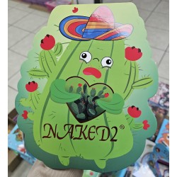 PALETA SOMBRAS CACTUS 1PZA