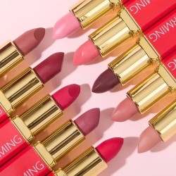 LABIAL DE FANTASIA (12 PZ)