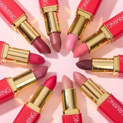 LABIAL DE FANTASIA (12 PZ)