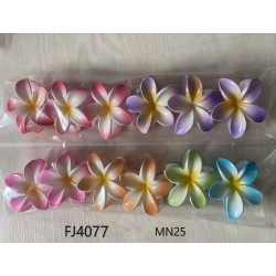 PINZAS HAWAIANAS (12 PZ)