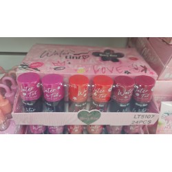 Tintas Water (24 pza)