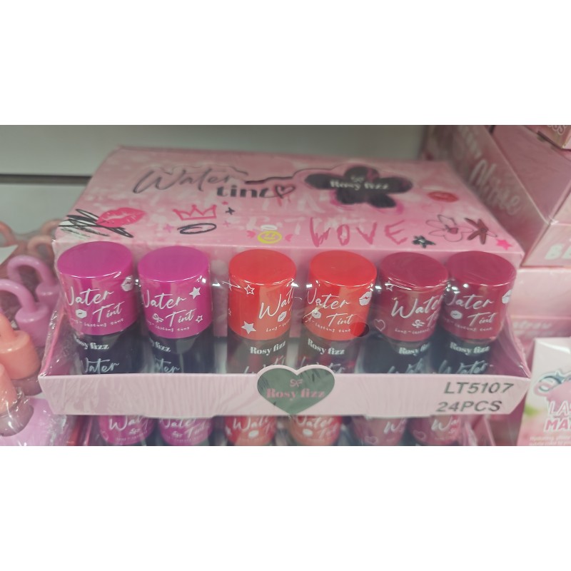 Tintas Water (24 pza)