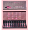 LABIAL CON DELINEADOR ROUGE (12 PARES)